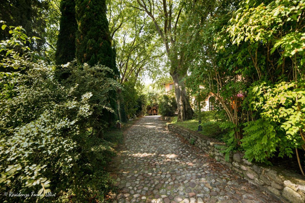 Residenza Fondo Ulivi Villa Ponti sul Mincio Exterior photo