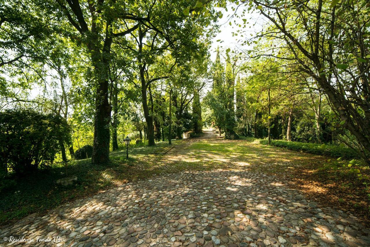Residenza Fondo Ulivi Villa Ponti sul Mincio Exterior photo